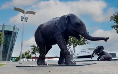 Life size animal statues in Melbourne